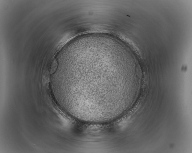 X0000095121169200712301753