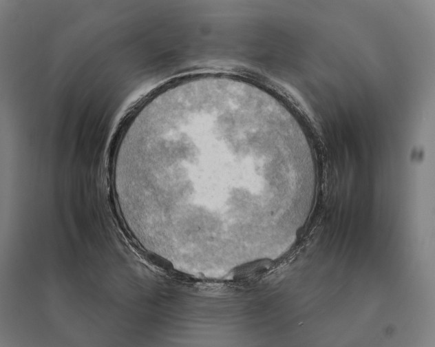 X0000095121172200712301753