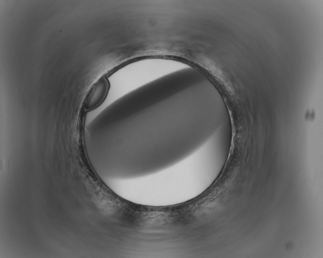 X0000095121173200712301753