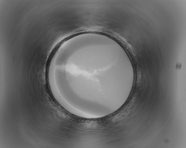 X0000095121174200712301753