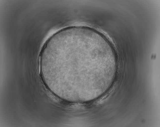 X0000095121175200712301753