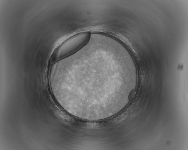 X0000095121176200712301753