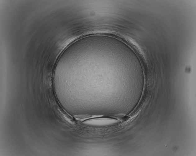 X0000095121177200712301753