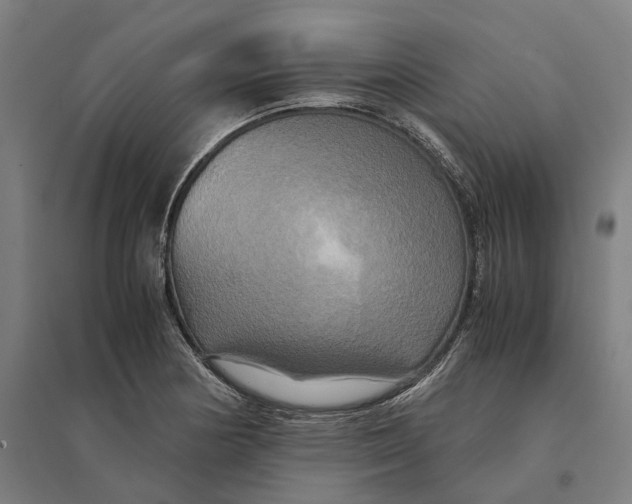 X0000095121178200712301753