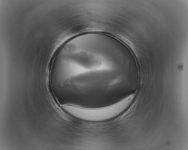 X0000095121179200712301753