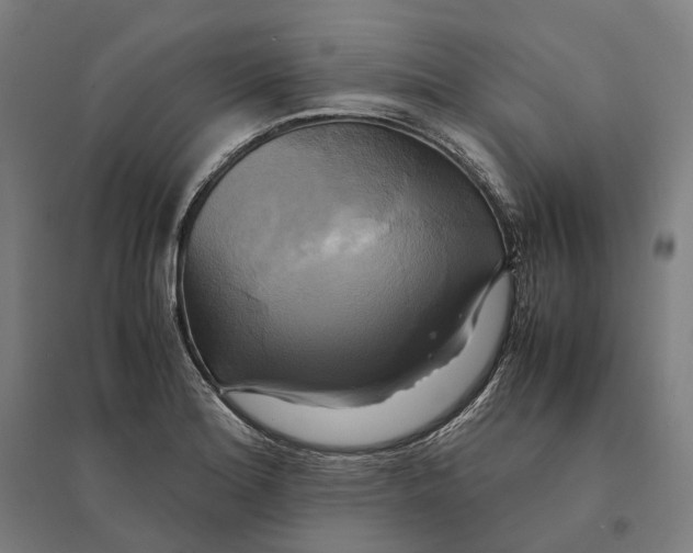 X0000095121180200712301753