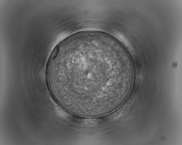 X0000095121181200712301753