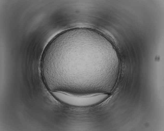 X0000095121182200712301753