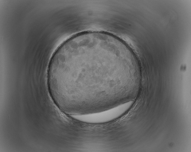 X0000095121183200712301753