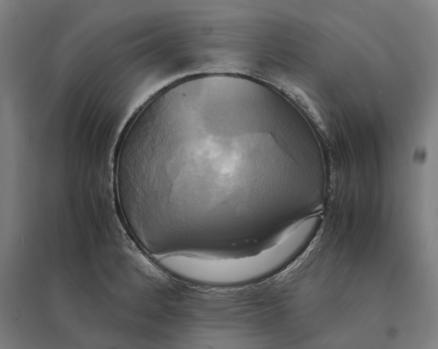 X0000095121184200712301753