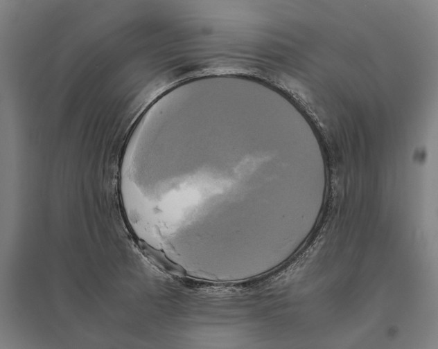 X0000095121185200712301753