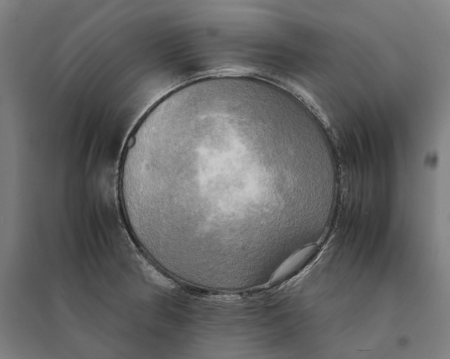 X0000095121186200712301753