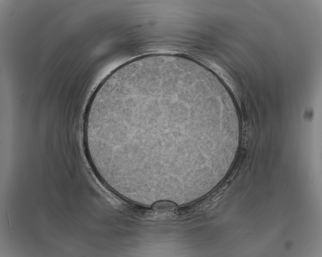 X0000095121187200712301753