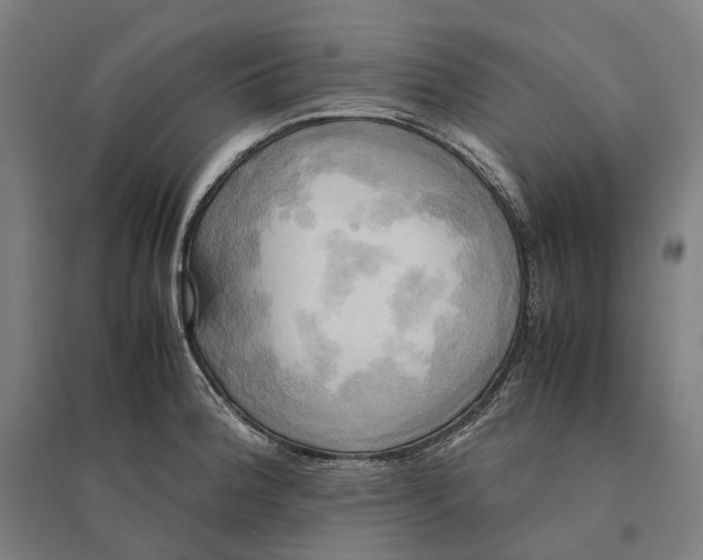 X0000095121188200712301753