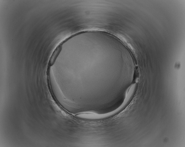 X0000095121189200712301753