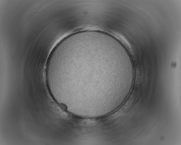 X0000095121190200712301753