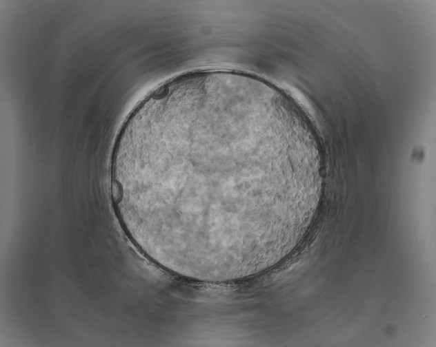 X0000095121191200712301753