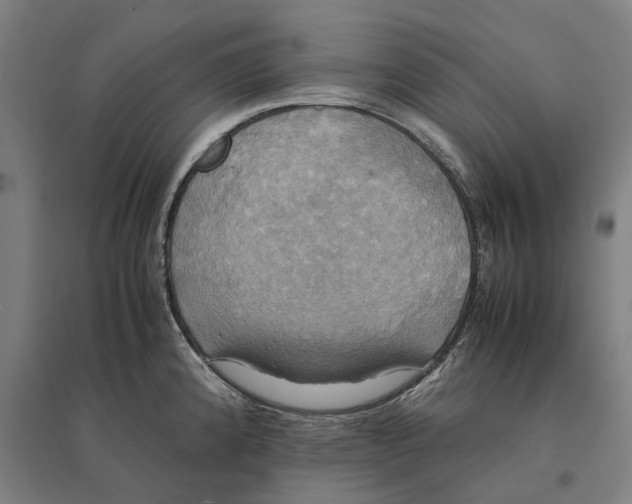 X0000095121192200712301753