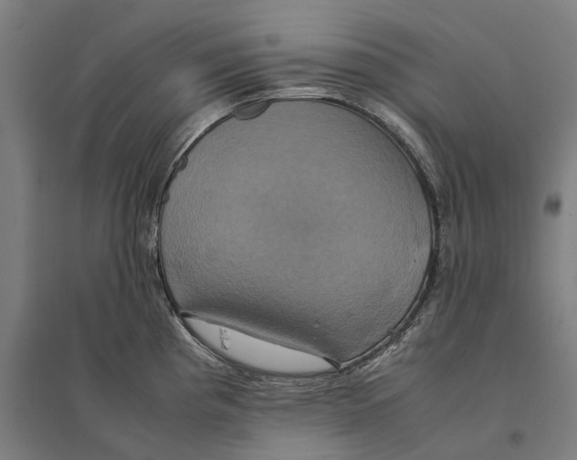 X0000095121193200712301753