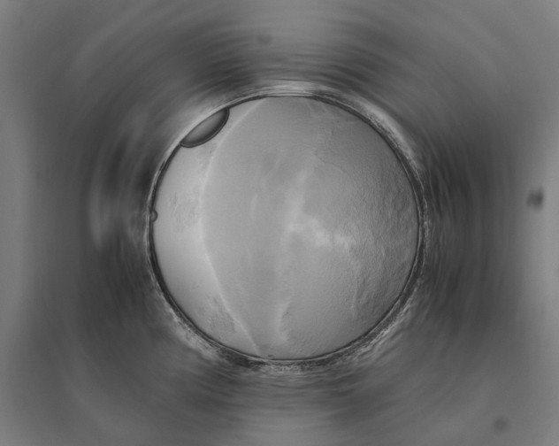 X0000095121194200712301753