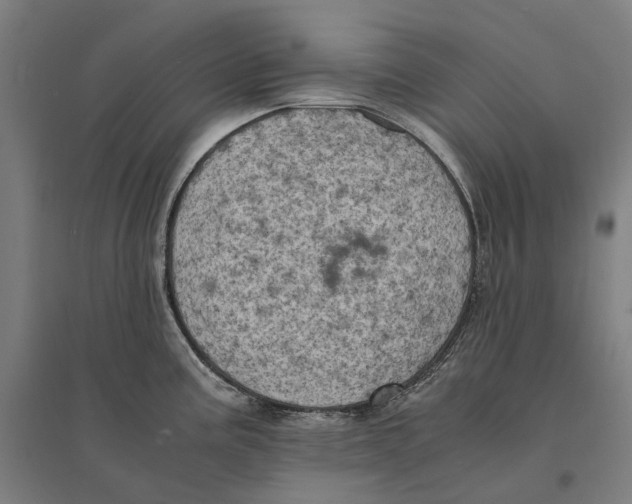 X0000095121195200712301753