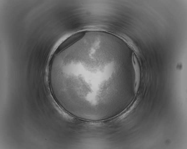 X0000095121196200712301753