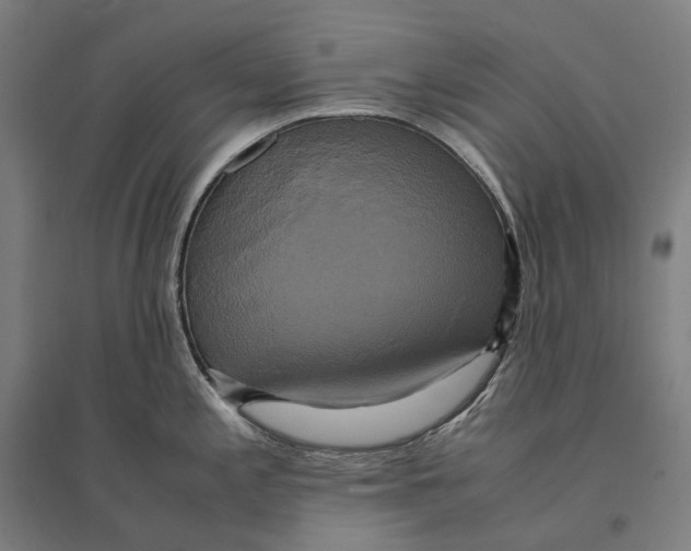 X0000095121197200712301753