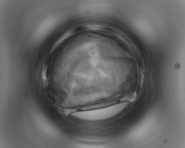 X0000095121198200712301753