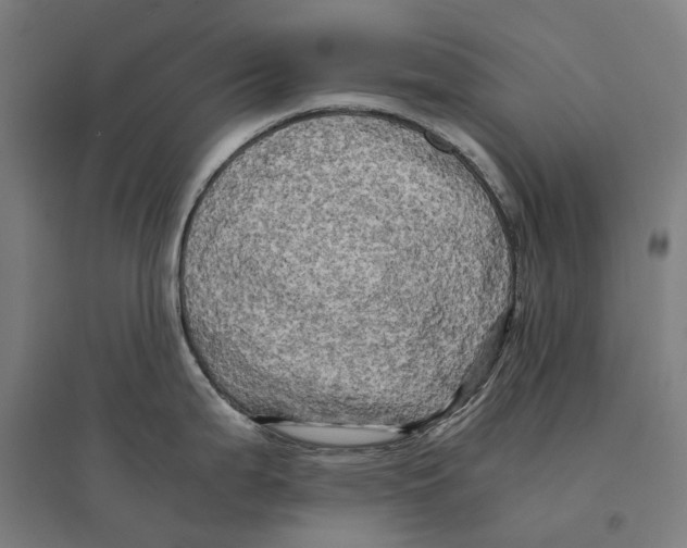 X0000095121199200712301753