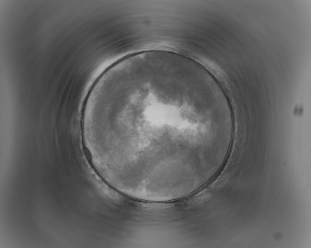 X0000095121200200712301753