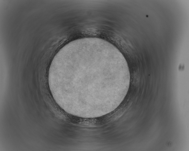 X0000095121201200712301752