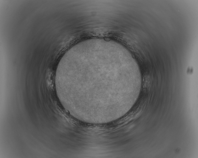 X0000095121202200712301752