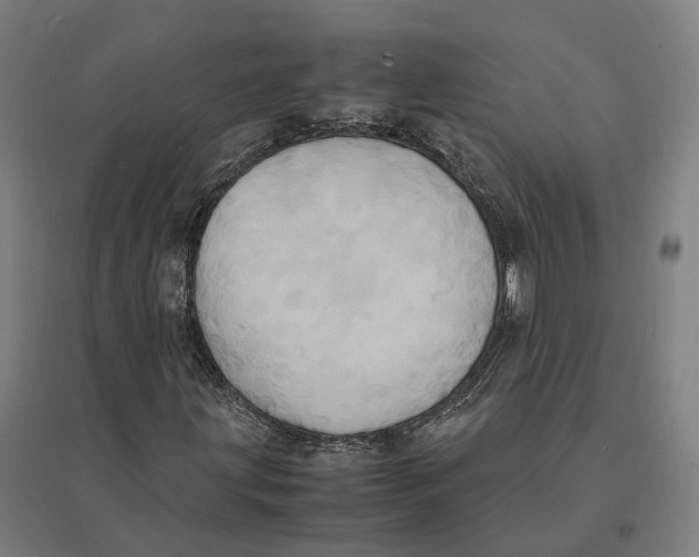 X0000095121203200712301752