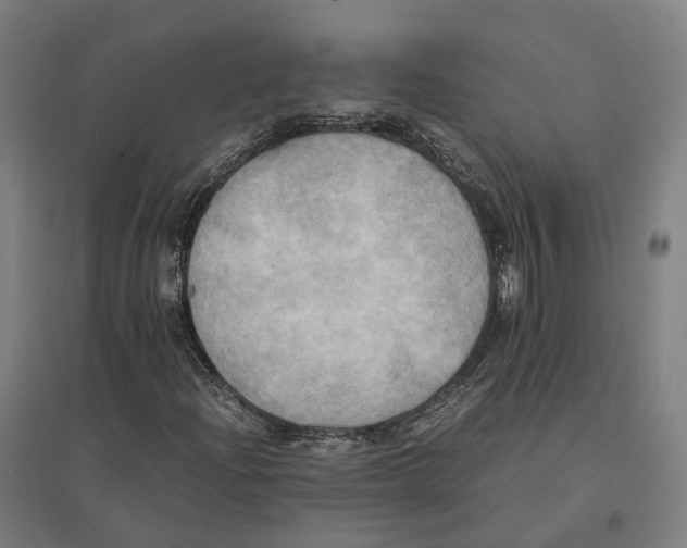 X0000095121204200712301752