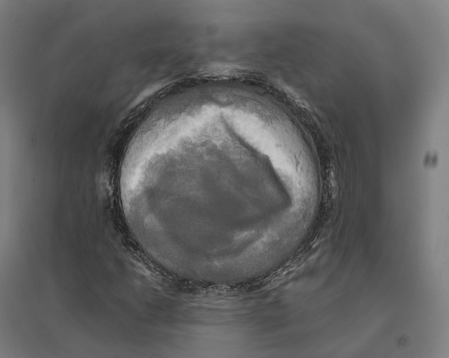 X0000095121206200712301752