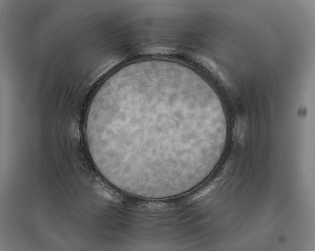 X0000095121209200712301752