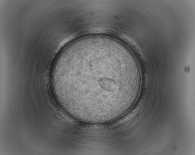 X0000095121210200712301752