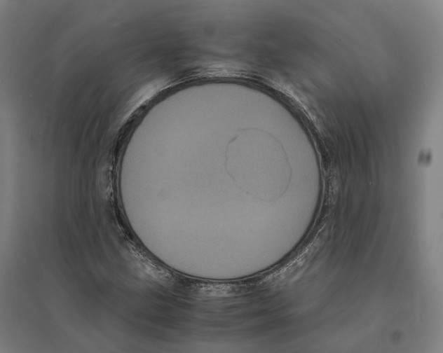 X0000095121211200712301752