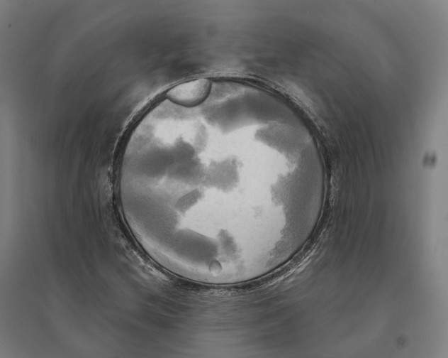 X0000095121212200712301752