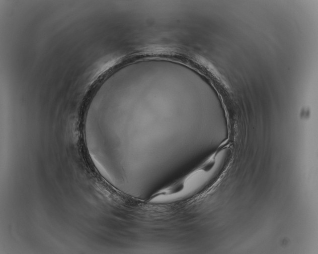 X0000095121213200712301752