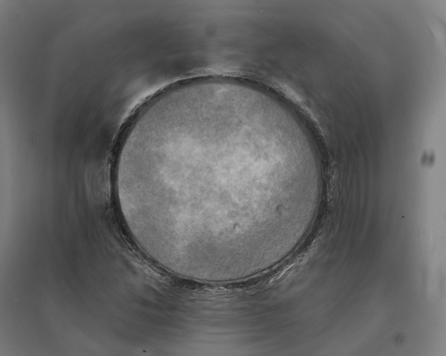 X0000095121214200712301752