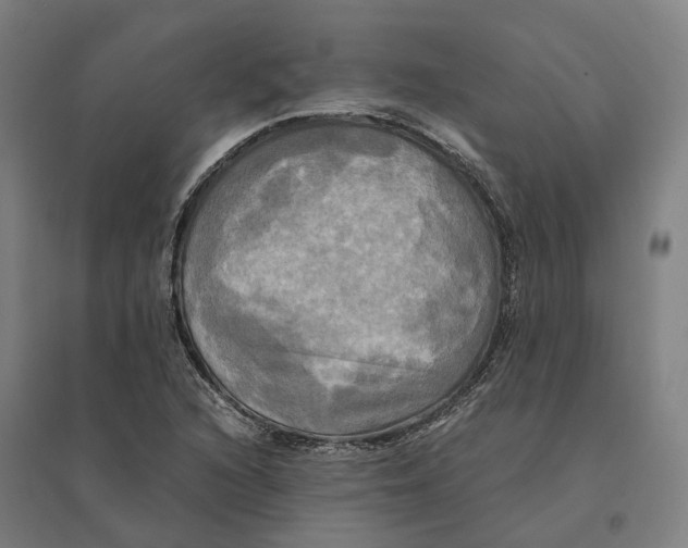 X0000095121216200712301752