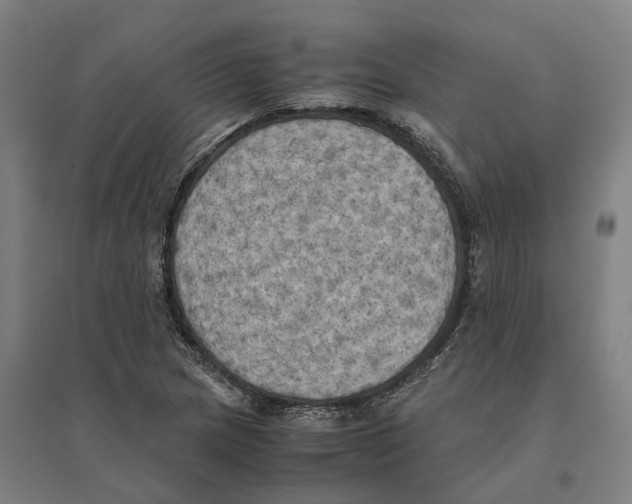 X0000095121217200712301752