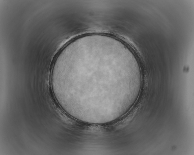 X0000095121220200712301752