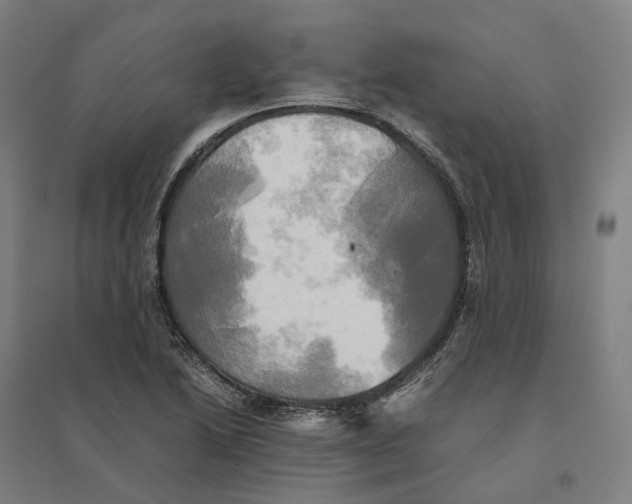 X0000095121222200712301752