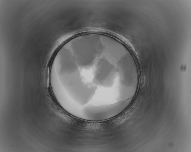 X0000095121223200712301752