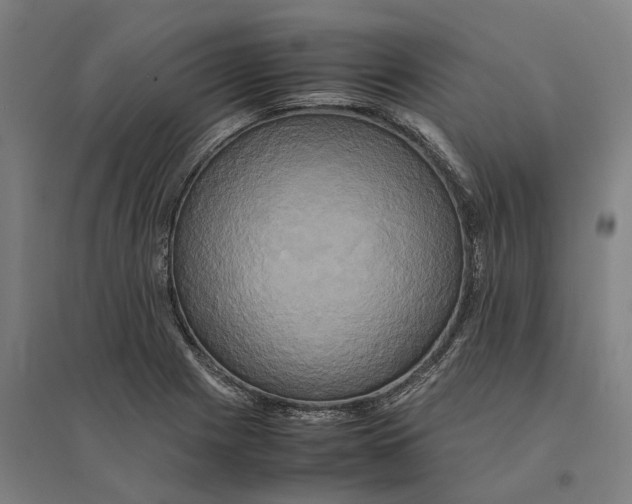 X0000095121225200712301752