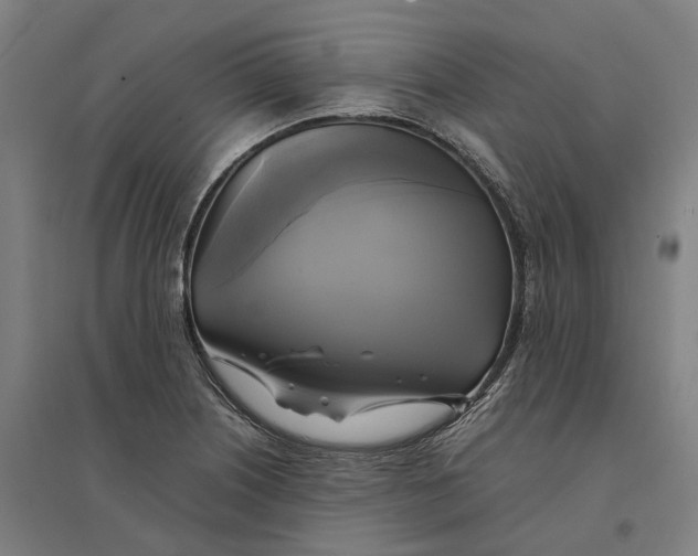 X0000095121226200712301752