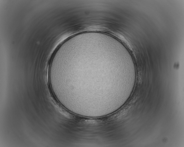 X0000095121227200712301752