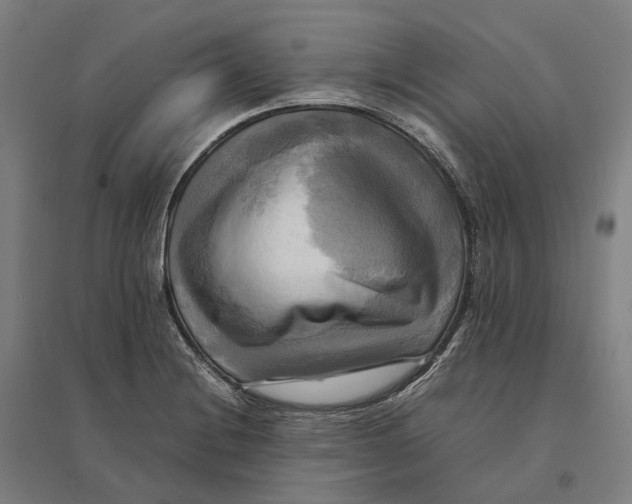 X0000095121228200712301752